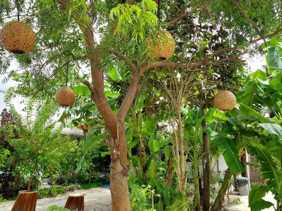 Coco Villa Тодо Екстериор снимка